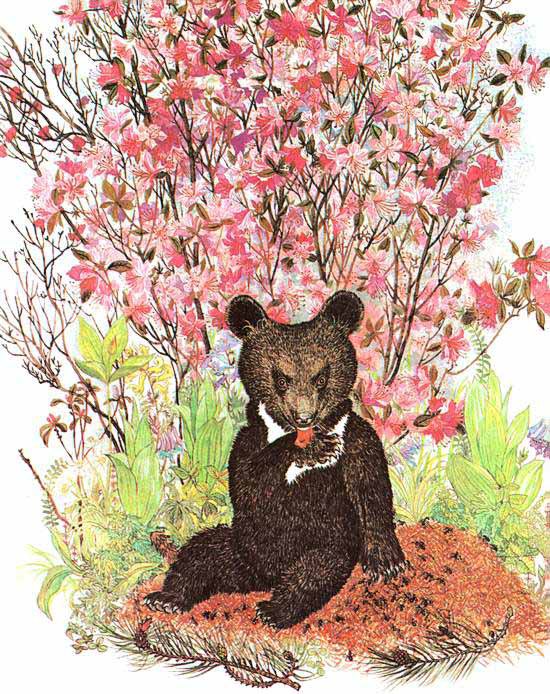 Золотая Ригма - i_021.jpg