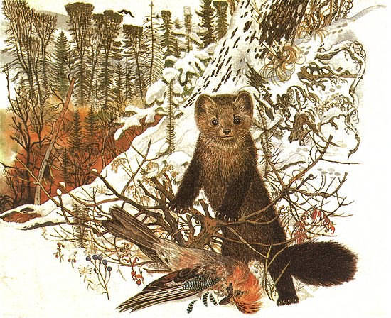 Золотая Ригма - i_026.jpg