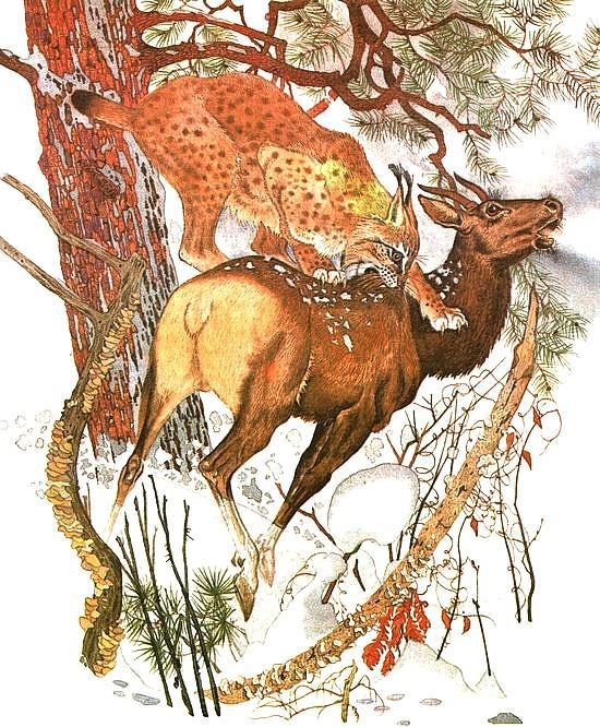 Золотая Ригма - i_048.jpg