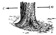 Ориентирование на местности без карты - _22.jpg