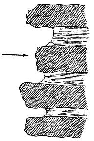 Ориентирование на местности без карты - _24.jpg