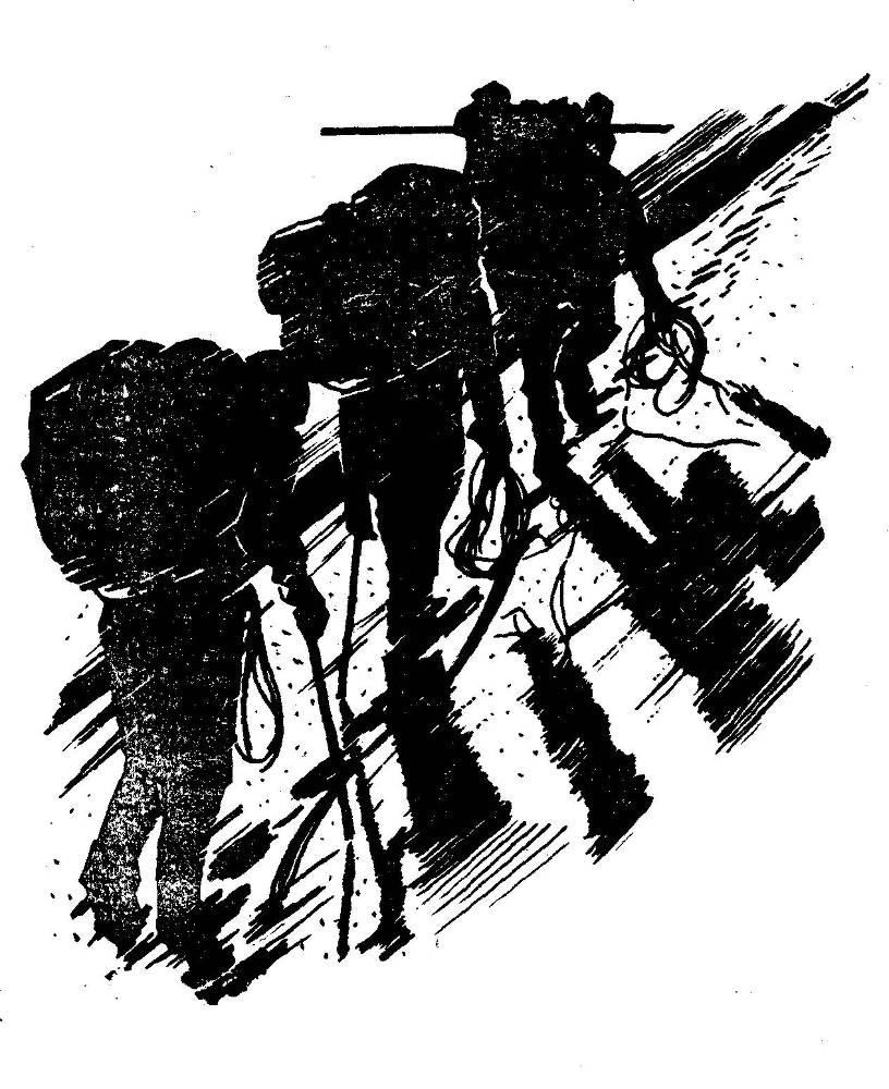 Вершини - _0.jpg