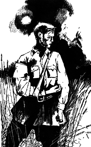 Со щитом и на щите - pic8.png