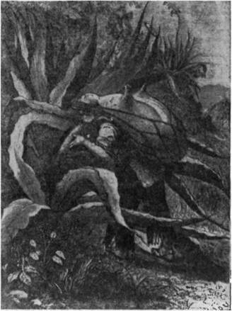 Конкистадоры - i_029.jpg