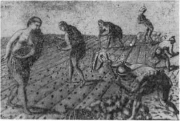 Конкистадоры - i_113.jpg