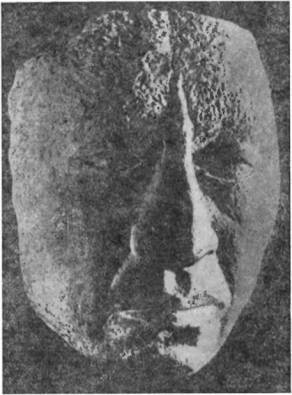 Конкистадоры - i_123.jpg