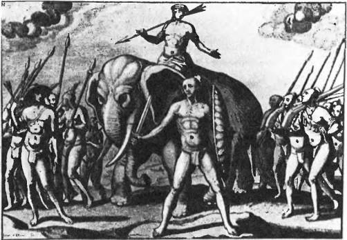 На крыльях муссонов - i_022.jpg