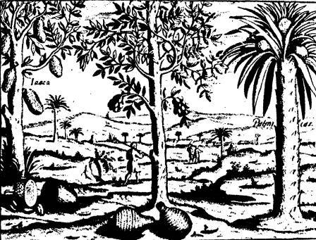 На крыльях муссонов - i_033.jpg