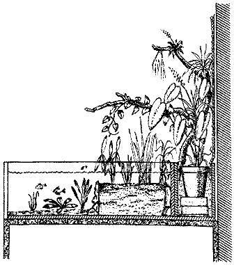 По аллеям гидросада - _11.jpg