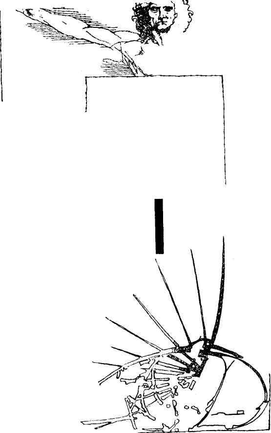 Пути в незнаемое. Сборник двадцатый - i_003.jpg