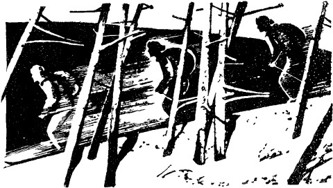 Идущий впереди - Image_01.jpg