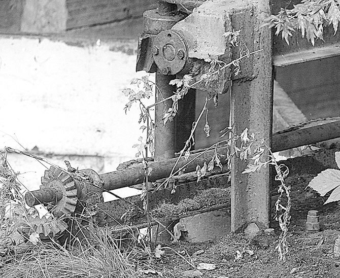 Александровский парк Царского Села. XVIII – начало XX в. Повседневная жизнь Российского императорского двора - i_029.jpg