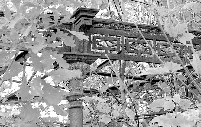 Александровский парк Царского Села. XVIII – начало XX в. Повседневная жизнь Российского императорского двора - i_081.jpg