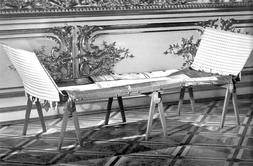 Врачи двора Его Императорского Величества, или Как лечили царскую семью. Повседневная жизнь Российского императорского двора - _185.jpg