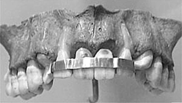 Из истории зубоврачевания, или Кто лечил зубы российским монархам - i_037.jpg