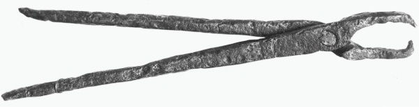 Из истории зубоврачевания, или Кто лечил зубы российским монархам - i_039.jpg