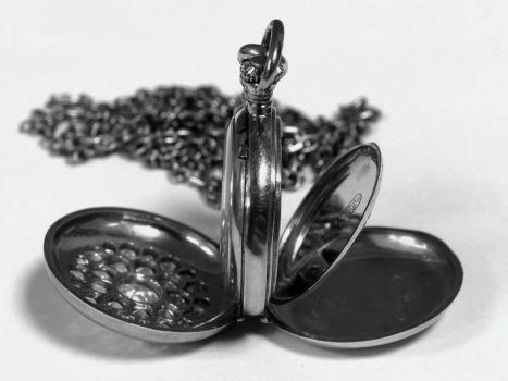 Царские деньги. Доходы и расходы Дома Романовых - i_108.jpg