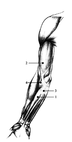 Медицинский, лечебный и косметический массаж - i_002.png