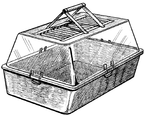 Морские свинки - _29.png