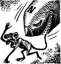 Бомбы и разум - img_11.jpeg