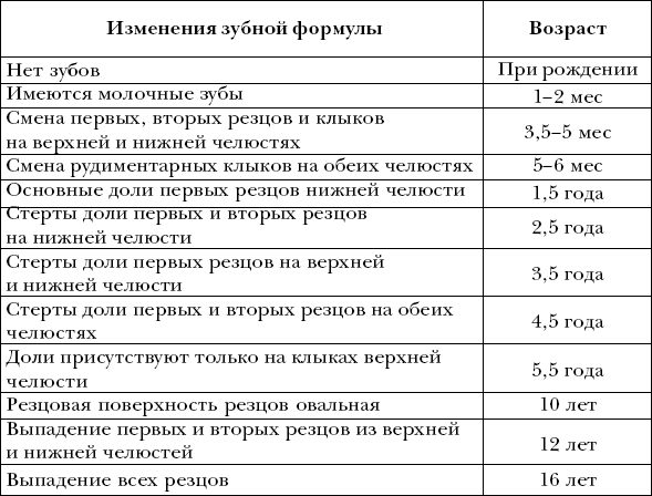 Ветеринарный справочник для владельцев собак - _17.png