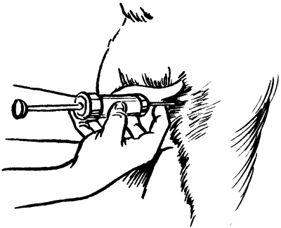 Ветеринарный справочник для владельцев собак - _46.png