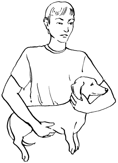 Ветеринарный справочник для владельцев собак - _64.png