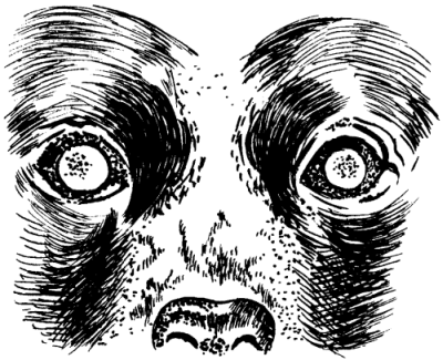 Ветеринарный справочник для владельцев собак - _71.png