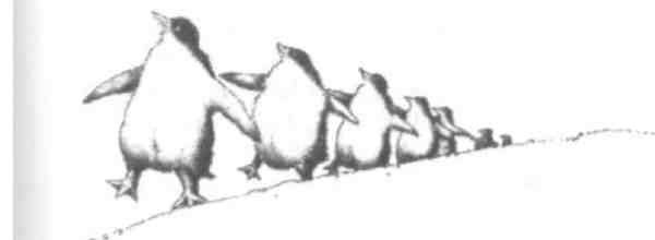 Странности эволюции-2. Ошибки и неудачи в природе - i_001.jpg