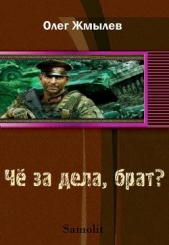 Чё за дела, брат? - автор Жмылёв Олег 