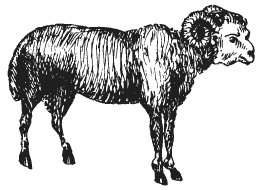 Звезды и судьбы. Гороскоп на каждый день. 2010 год. Дева - i_002.png