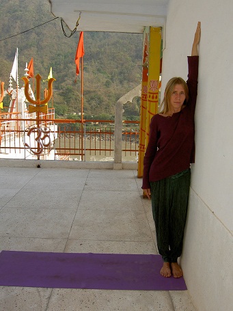 Практика хатха-йоги. Ученик перед стеной - i_001.jpg