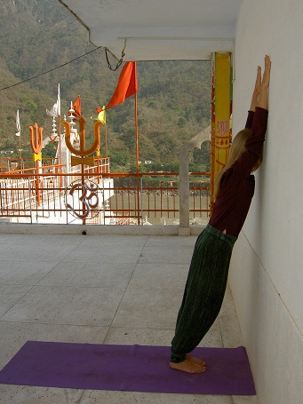 Практика хатха-йоги. Ученик перед стеной - i_002.jpg