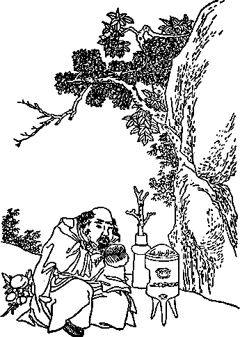 Адепты. Эзотерическая традиция Востока - i_027.png