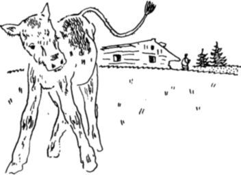 Богатый человек<br />Рассказы - i_012.jpg