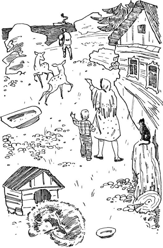 Богатый человек<br />Рассказы - i_018.jpg