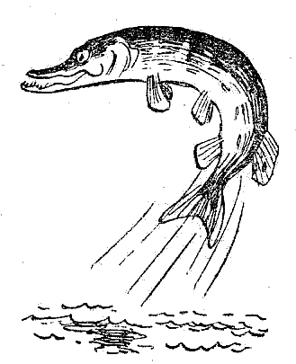 Вокруг крючка - i_002.png