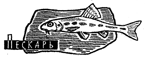 Рыбьи дорожки - i_002.png