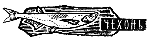 Рыбьи дорожки - i_010.png