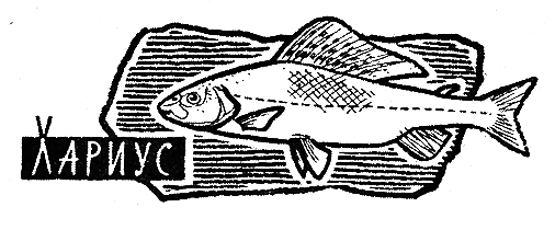 Рыбьи дорожки - i_011.png