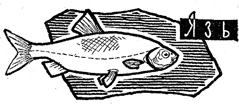 Рыбьи дорожки - i_023.png