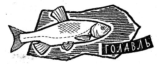 Рыбьи дорожки - i_026.png