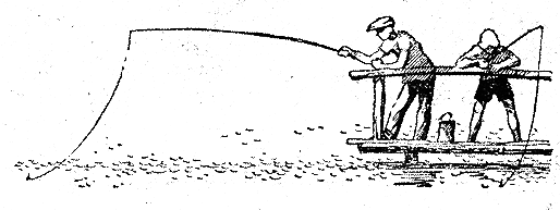 Рыбьи дорожки - i_041.png