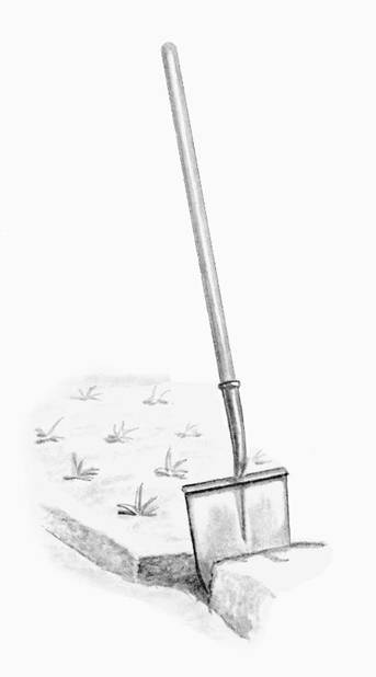 Садовые инструменты и инвентарь - i_010.jpg