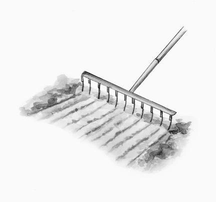 Садовые инструменты и инвентарь - i_014.jpg