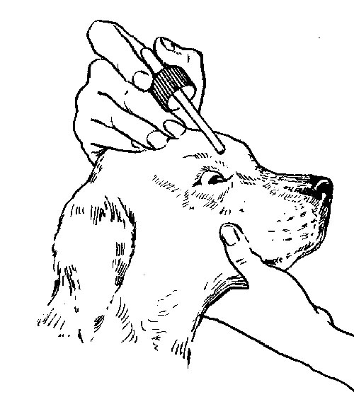 Ваш щенок - s013.jpg