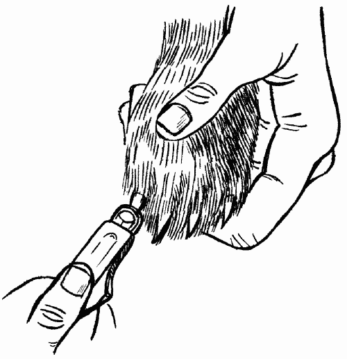 Гриффоны - i_024.png