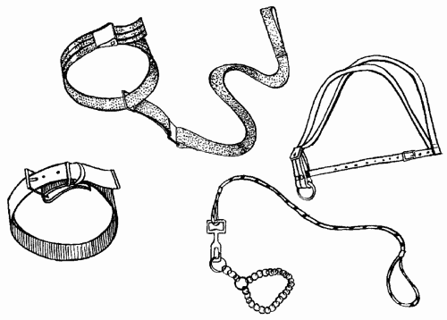 Гриффоны - i_025.png