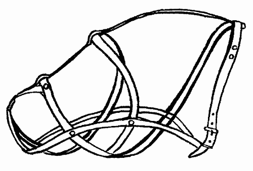 Гриффоны - i_031.png