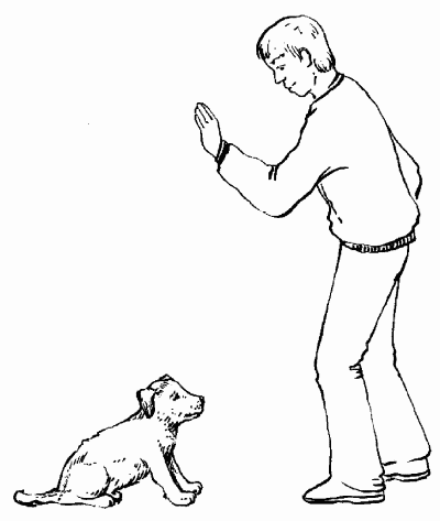 Гриффоны - i_033.png